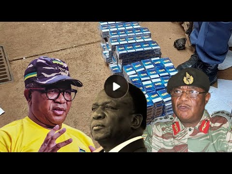 Zimbabweans And South Africans K.i.l.l.e.d After Caught With This