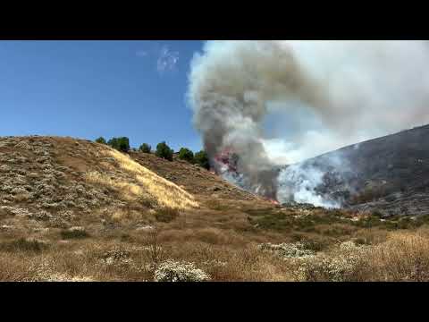 Kendall Vegetation Fire