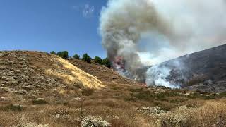 Kendall Vegetation Fire