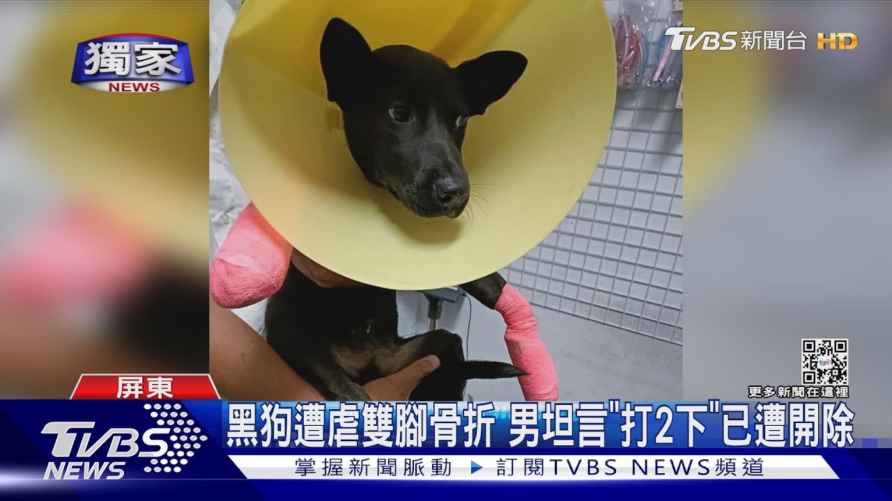 餐廳員工遭爆虐狗！小黑腳骨折　男遭開除：我個人行為