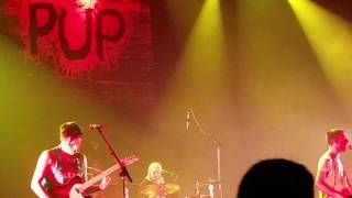 Pup - Pine Point (live)