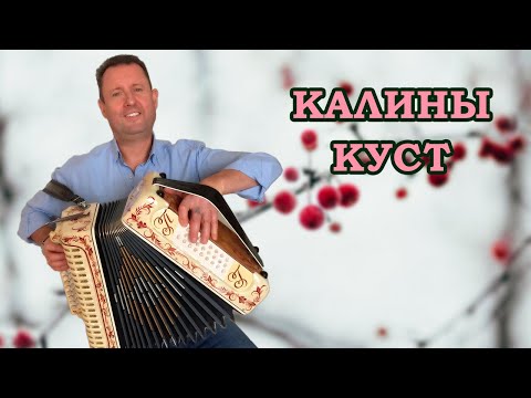 Калины куст евдокимов текст