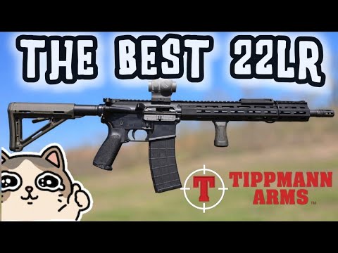 Tippmann Arms M4-22, the Best 22 LR Rifle!