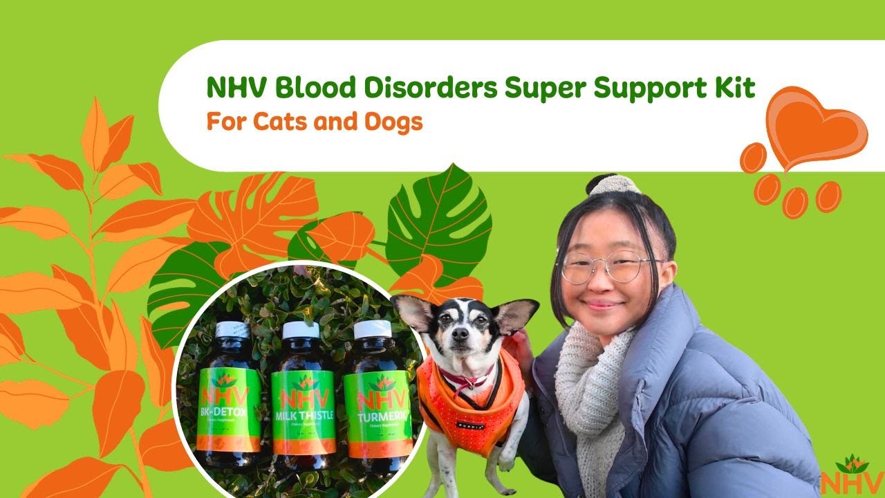 NHV Blood Disorders Super Support Kit für Katzen und Hunde