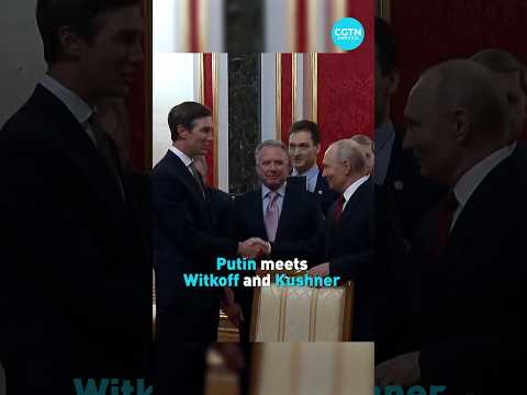 Putin meets Witkoff and Kushner in Moscow