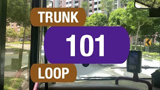 SBS Transit Trunk 101 | Bus Service Route Visual