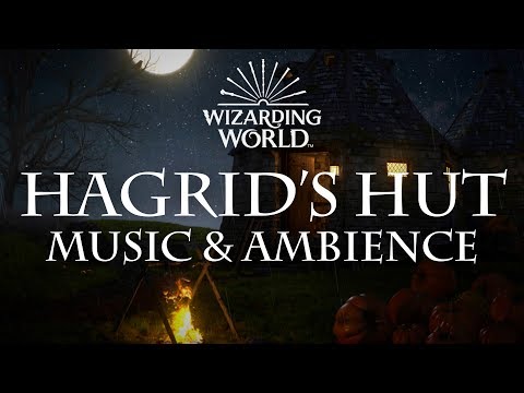 Harry Potter Music & Ambience | Hagrid's Hut