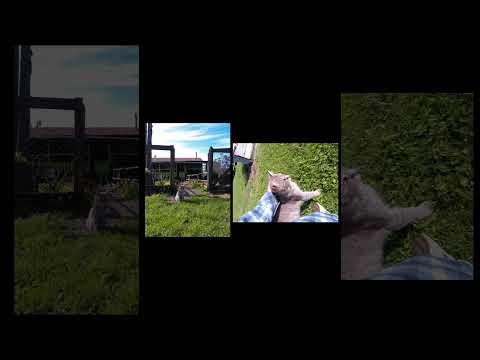 Pelchuquin #surdechile conociendo localidades #regiondelosrios #getoutside #chiletravel