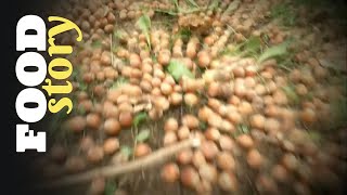 Thumbnail del capítulo