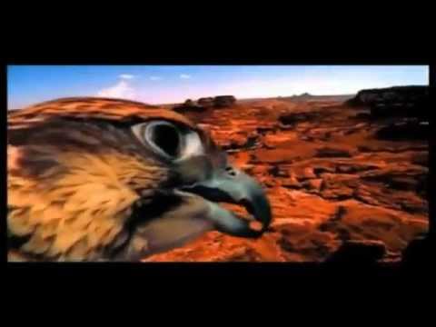 Angelika Vee - Guale