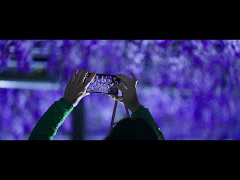 【濱松・濱名湖】濱名湖花卉節2026　PV