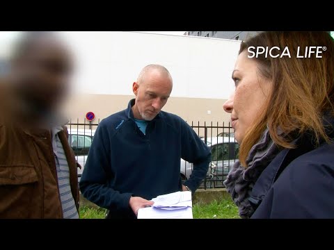 Contrôle routier : ce que la police découvre est fou