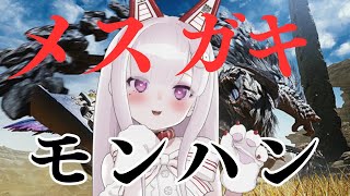 メスガキちゃんがざぁこモンスターを“理解らせ”♡【 モンスターハンターワイルズ 】