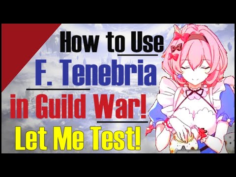 Epic 7: How to Use Fairytale Tenebria in Guild War!! Let's Test Her!
