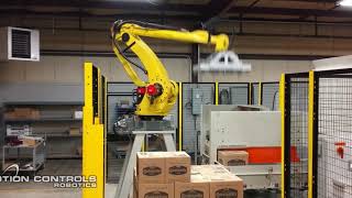 End of Line &amp; Warehouse Robotics Solutions