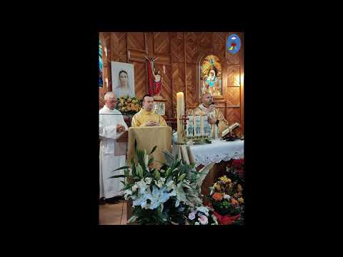 Czatachowa 29.05.2022- Kazanie o. Daniela - Wniebowstąpienie Pana Jezusa. Święci czuwają nad nami.