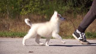 DELOKIS TERRA NURIA THE FUTURE IS OURS