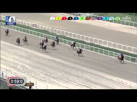 Fly Top Queen - July 20, 2013