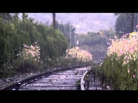 René y René -- Cuando llegue a Phoenix (1,968)