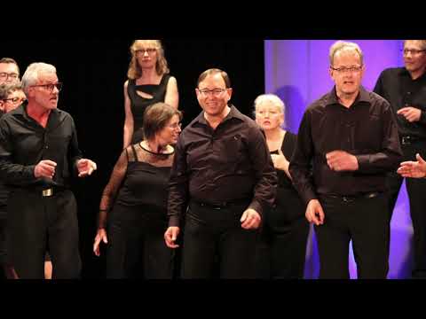 VoiceChoice - Can't Stop The Feeling (Justin Timberlake, Arr.: Jan-Hendrik Herrmann)