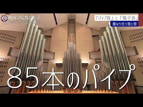 2024年度桃山学院教育大学キリスト教講演会