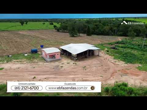Fazenda em Ribeirão Cascalheira  (MT)