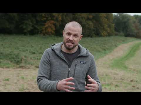 The risk of rodenticide exposure to wildlife