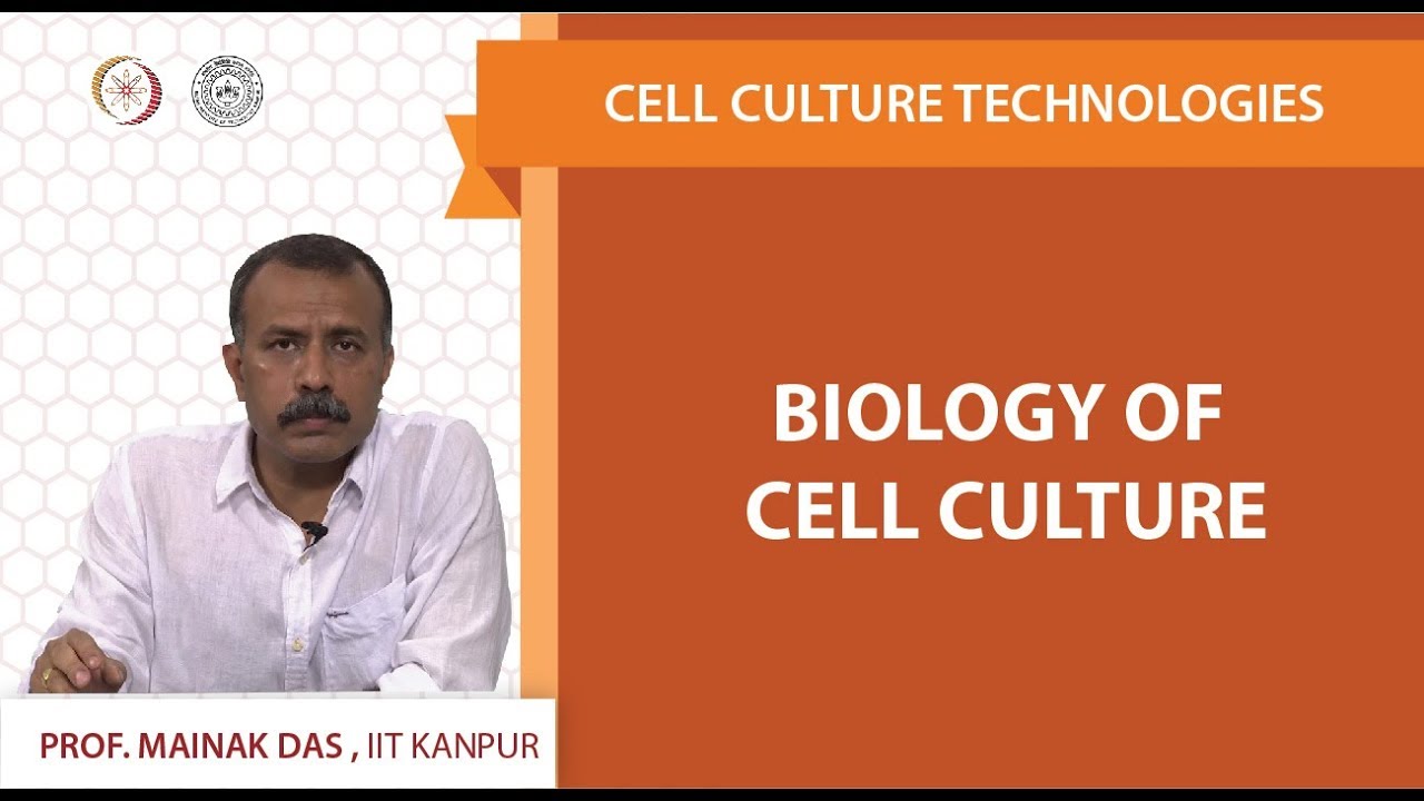Biology of cell culture