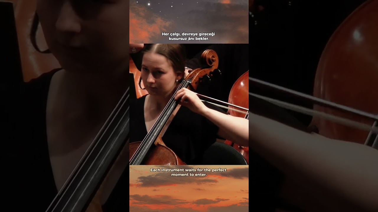 Kalbin Dansı: Fındıkkıran Pas de deux #tchaikovsky #shorts #orchestra #classicalmusic