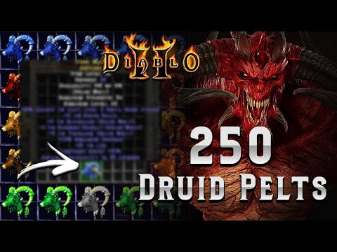 250 Unidentified Rare Druid Pelts - 1 year in the making!! - Diablo 2