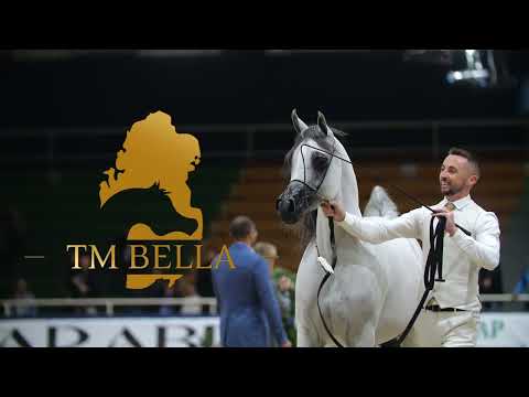 TM BELLA - Class Winner Fillies 2 years old - 2023 All Nations Cup