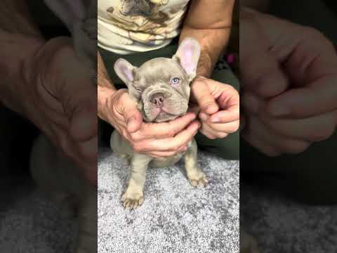 Video 5