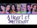 Dreamcatcher (드림캐쳐) – A Heart of Sunflower (해바라기의 마음) Lyrics (Color Coded Han/Rom/Eng)