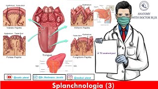 Download lagu Til anatomiyasi mp3