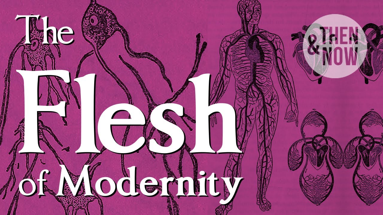 The Flesh of Modernity