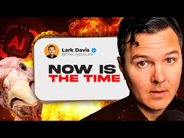 Lark Davis – Bitcoin Will History Repeat? (29.11.2024 Summary)