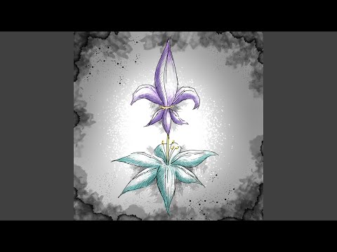Lis - lírio - Contra Cultura