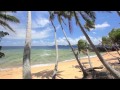 Twelve Volt Man - Jimmy Buffett