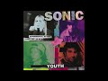 Sonic Youth - Skink