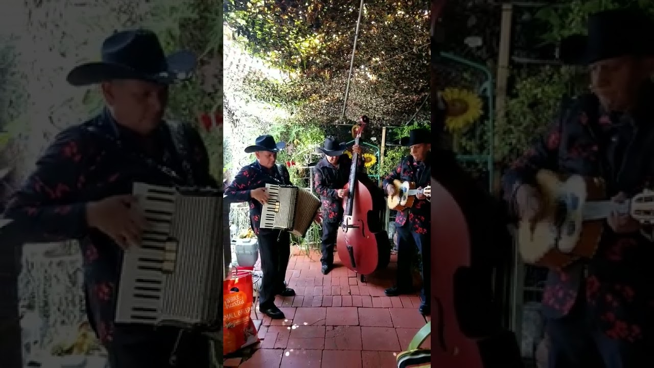 Promotional video thumbnail 4 for Grupo Versatil Y Norteno