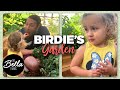 Birdie HELPS Daddy In The GARDEN
