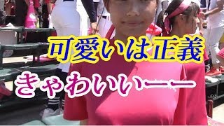 大垣日大の応援団の女の子が可愛いと話題！甲子園2018夏