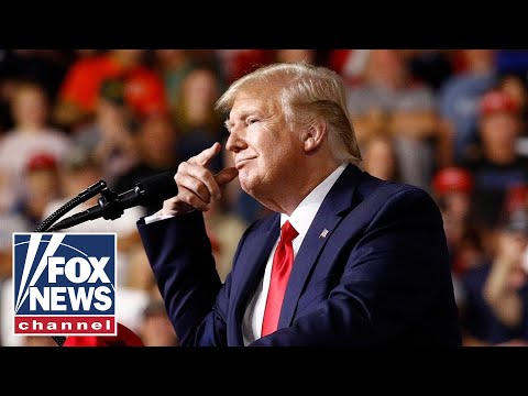 Trump ridicules rally protester: 'He's got a serious weight problem'