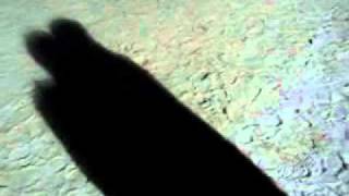 Download lagu Saaya Final.wmv mp3