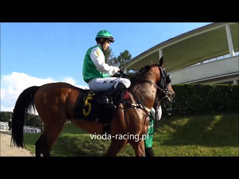 Gon. VII - 27.06.2020 - Anwar Al Khalediah (Nashwan Al Khalidiah - Shamikhah Al Khalidiah)