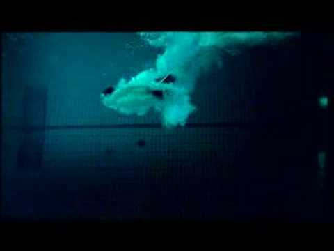 FREISCHWIMMER (Kino-Trailer)