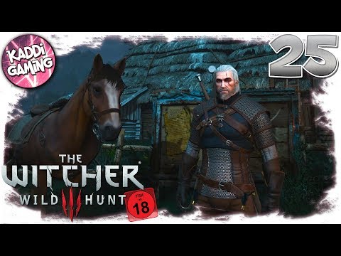 The Witcher 3: Wir brauchen einen Plan B #25 | LET'S PLAY 🎮 | Kaddi Gaming 🌺