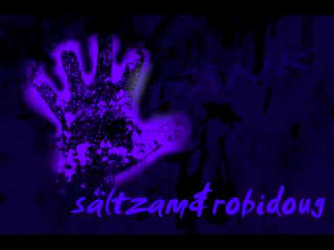 sältzam + robidoug - dänk