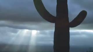 DADOS  Finley Quaye, William Orbit &amp; Beth Orton. Layo &amp; Bushwacka! Mix   -SUBTÌTULOS-