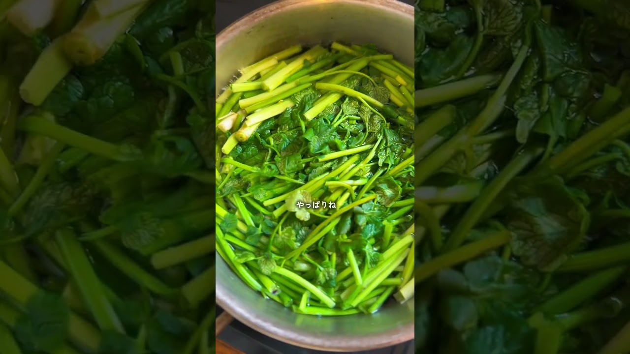 プラントベース恵方巻き　＃プラントべース＃恵方巻き＃short